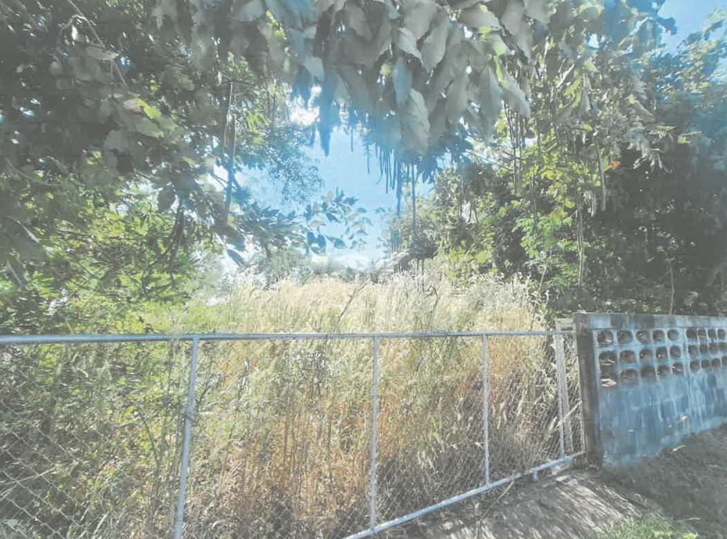 รูปที่ดินว่างเปล่า ขามป้อม วาปีปทุม มหาสารคาม