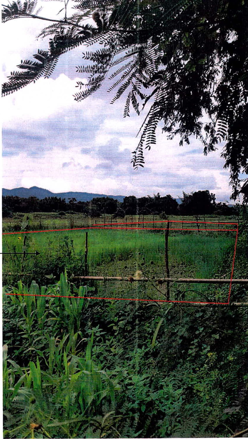 รูปที่ดินว่างเปล่า จางเหนือ แม่เมาะ ลำปาง