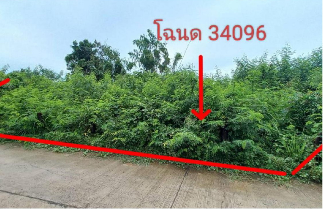 รูปที่ดินว่างเปล่า โคกไทย ปักธงชัย นครราชสีมา