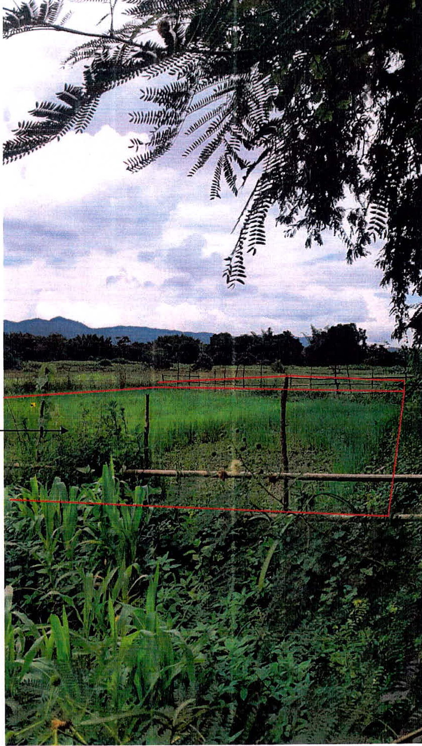รูปที่ดินว่างเปล่า จางเหนือ แม่เมาะ ลำปาง