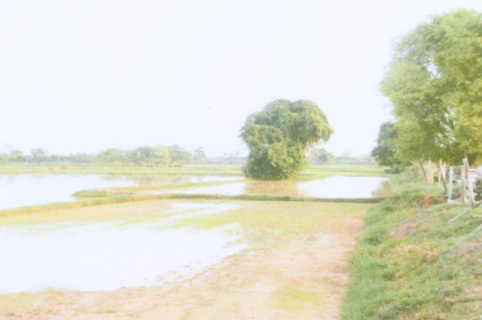 รูปที่ดินว่างเปล่า บ่อพันขัน สุวรรณภูมิ ร้อยเอ็ด