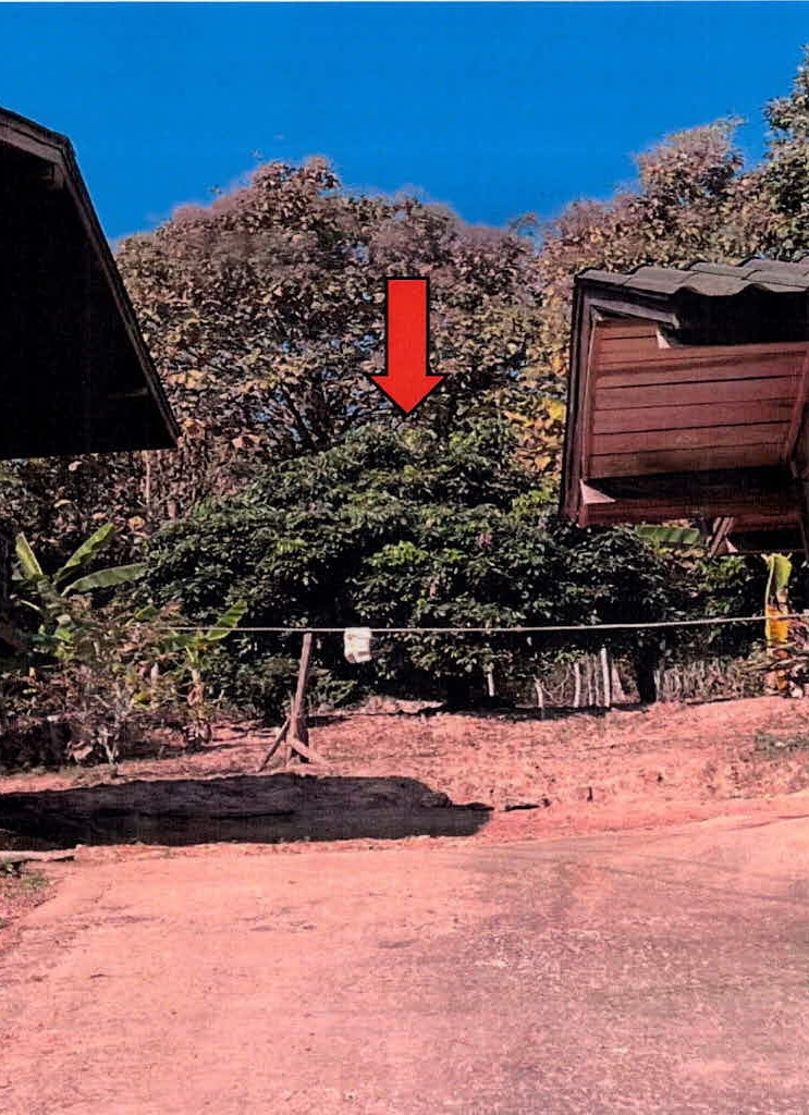 รูปที่ดินว่างเปล่า วังทอง วังเหนือ ลำปาง