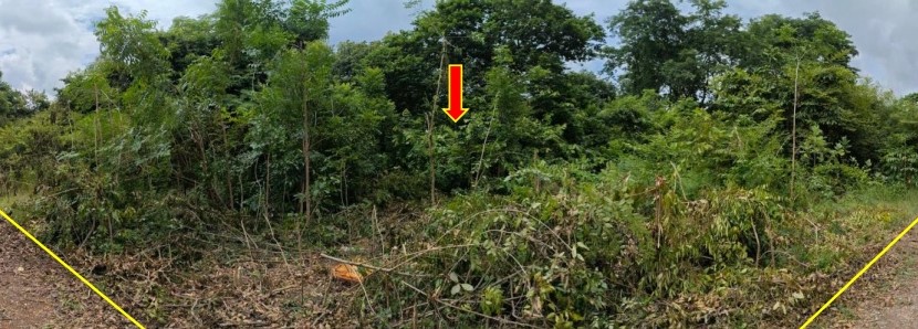รูปที่ดินว่างเปล่า โคกสูง เมืองนครราชสีมา นครราชสีมา