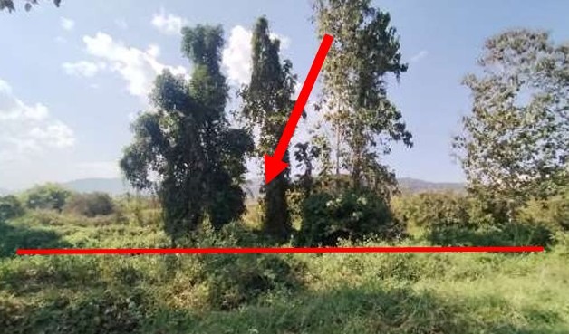 รูปที่ดินว่างเปล่า สันกลาง พาน เชียงราย