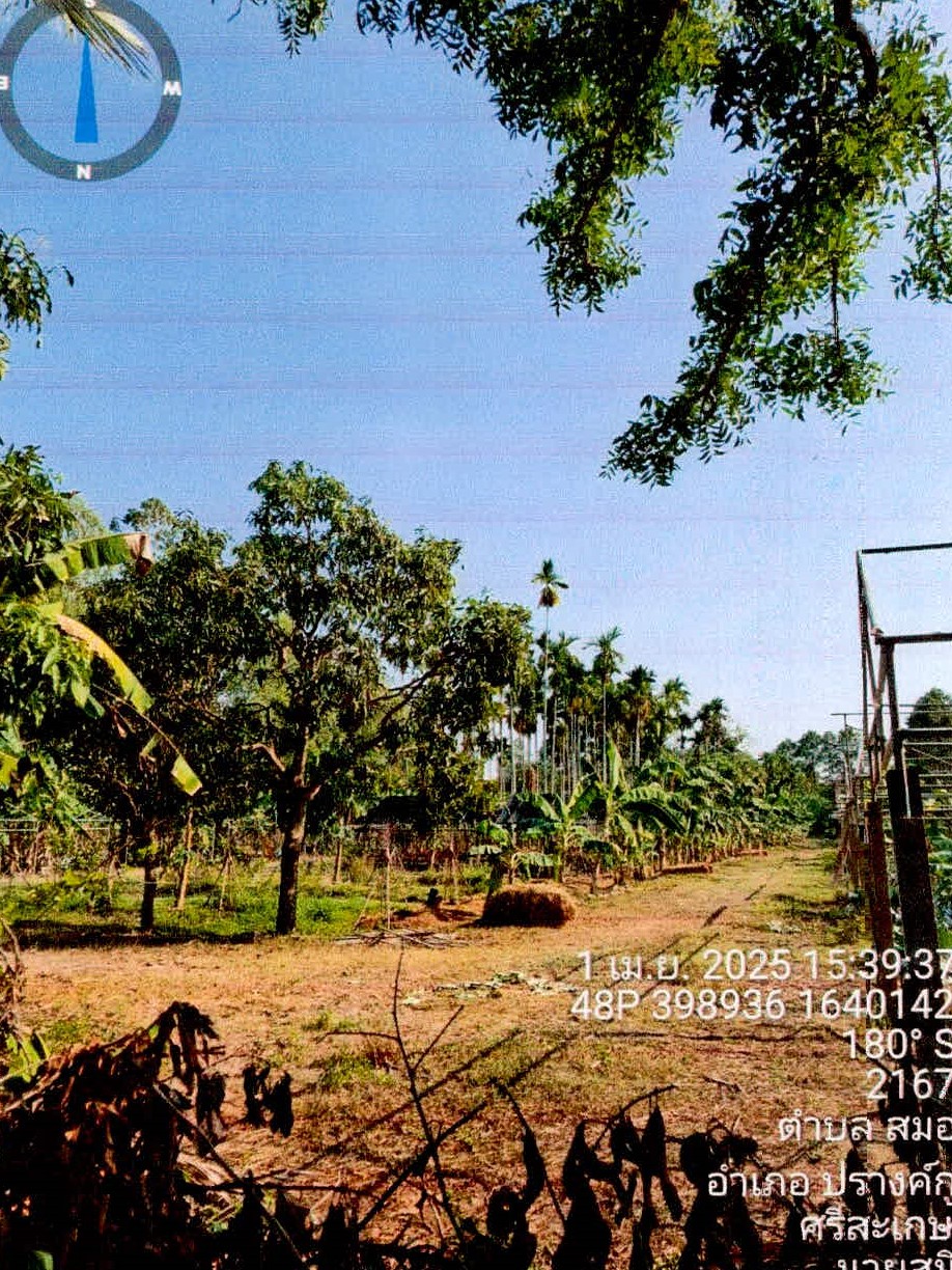 รูปที่ดินว่างเปล่า สมอ ปรางค์กู่ ศรีสะเกษ