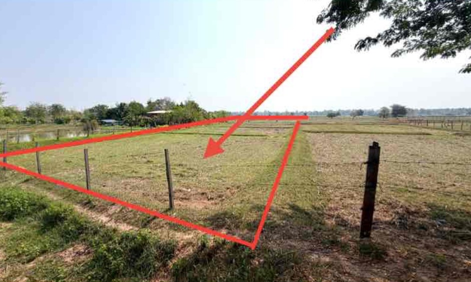รูปที่ดินว่างเปล่า หนองแดง นาเชือก มหาสารคาม