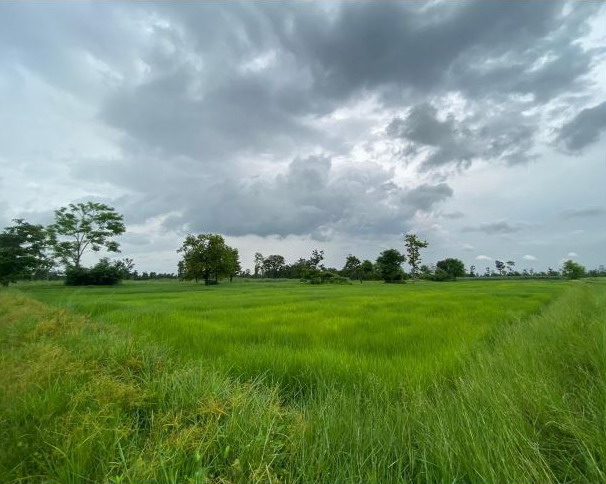 รูปที่ดินว่างเปล่า ดงเย็น บ้านดุง อุดรธานี