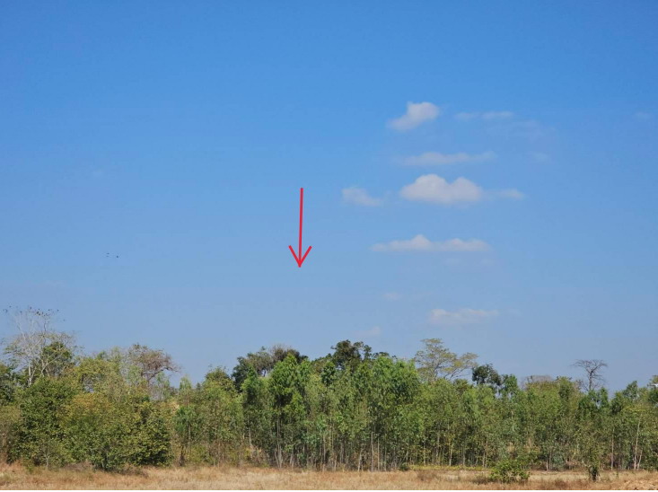 รูปที่ดินว่างเปล่า พนมไพร พนมไพร ร้อยเอ็ด