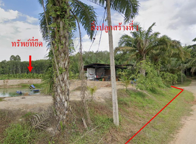 รูปที่ดินว่างเปล่า หนองไทร พุนพิน สุราษฎร์ธานี