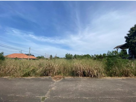 รูปที่ดินว่างเปล่า หนองปรือ บางละมุง ชลบุรี