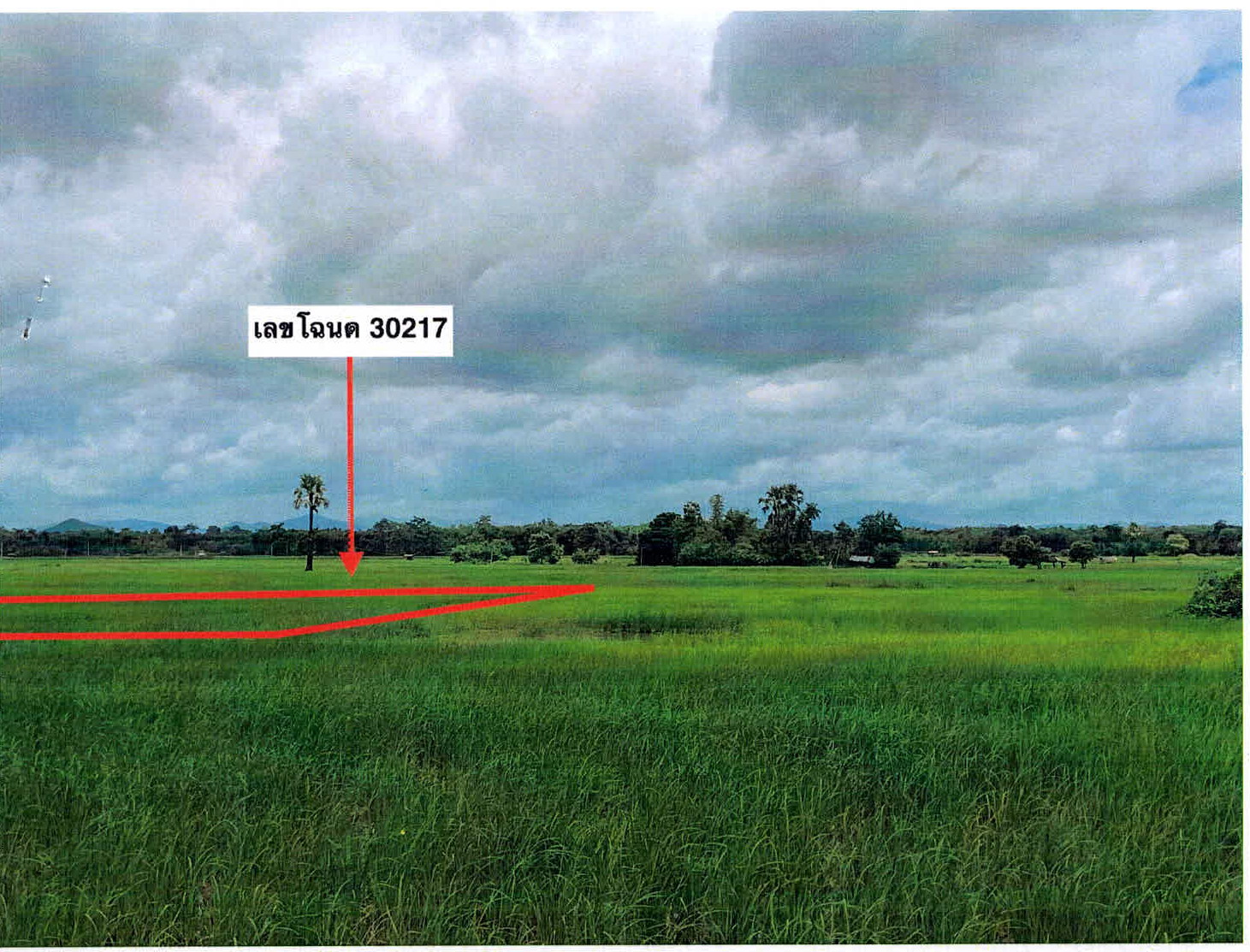 รูปที่ดินว่างเปล่า ท่าผา เกาะคา ลำปาง
