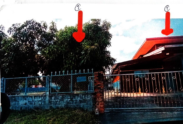 รูปที่ดินพร้อมสิ่งปลูกสร้าง เขมราฐ เขมราฐ อุบลราชธานี