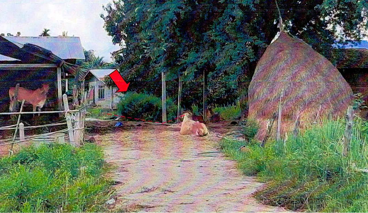 รูปที่ดินว่างเปล่า พรหมสวัสดิ์ พยุห์ ศรีสะเกษ