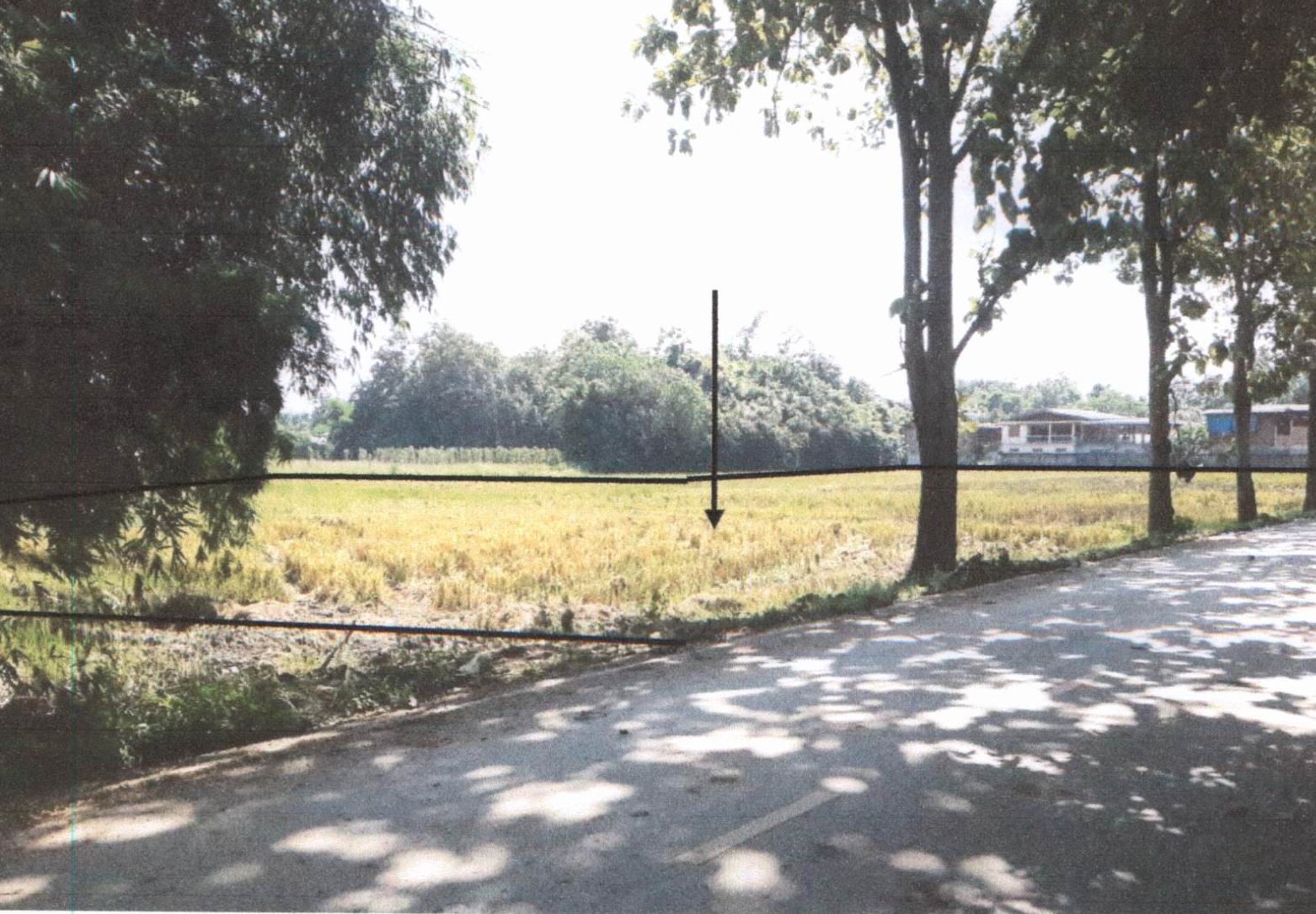 รูปที่ดินว่างเปล่า ตำหนักธรรม หนองม่วงไข่ แพร่