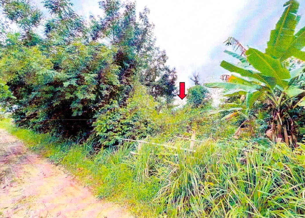 รูปที่ดินว่างเปล่า สำโรงปราสาท ปรางค์กู่ ศรีสะเกษ