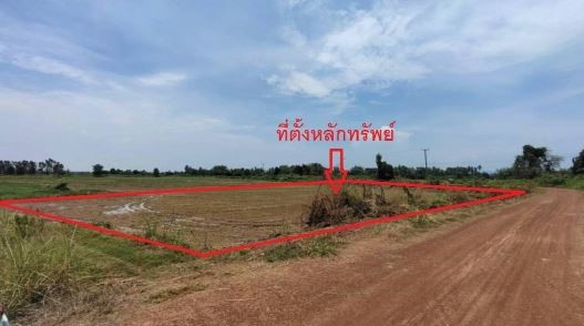 รูปที่ดินว่างเปล่า วังพิกุล วังทอง พิษณุโลก