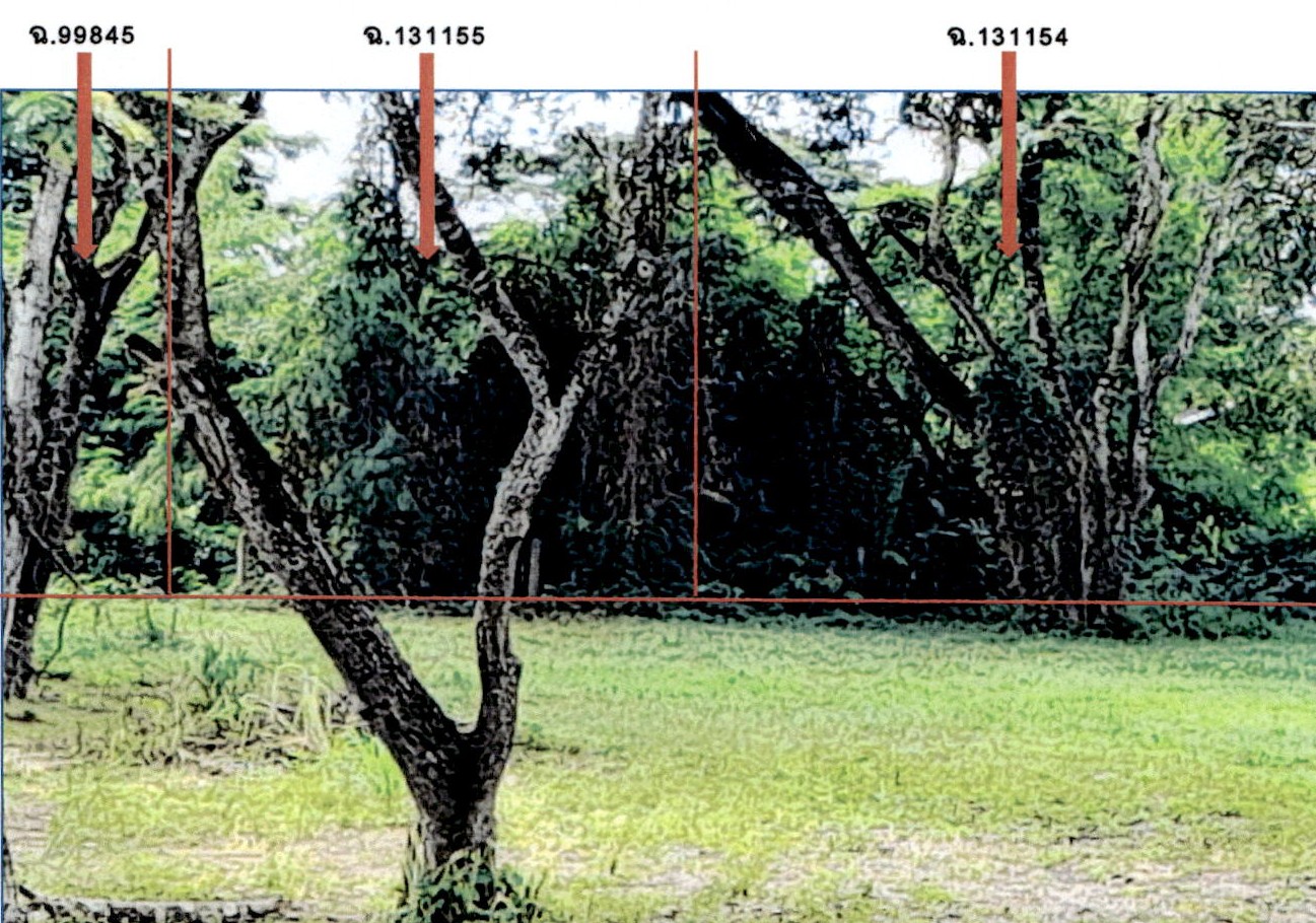 รูปที่ดินว่างเปล่า บ่อแฮ้ว เมืองลำปาง ลำปาง