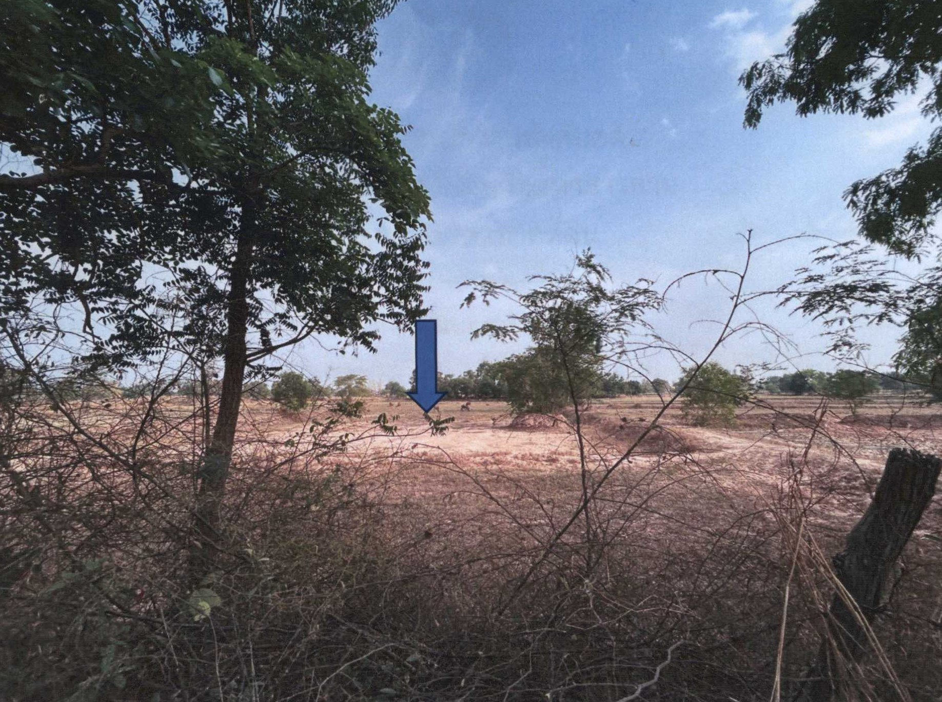 รูปที่ดินว่างเปล่า แก่งเลิงจาน เมืองมหาสารคาม มหาสารคาม