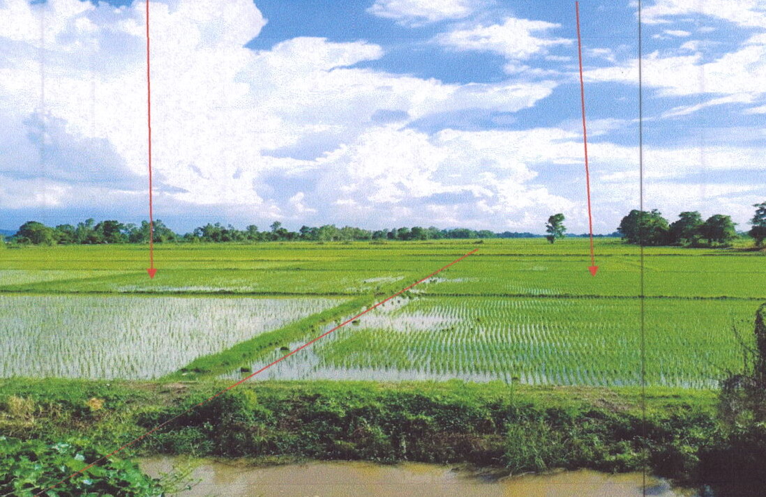 รูปที่ดินว่างเปล่า เวียงเหนือ เวียงชัย เชียงราย