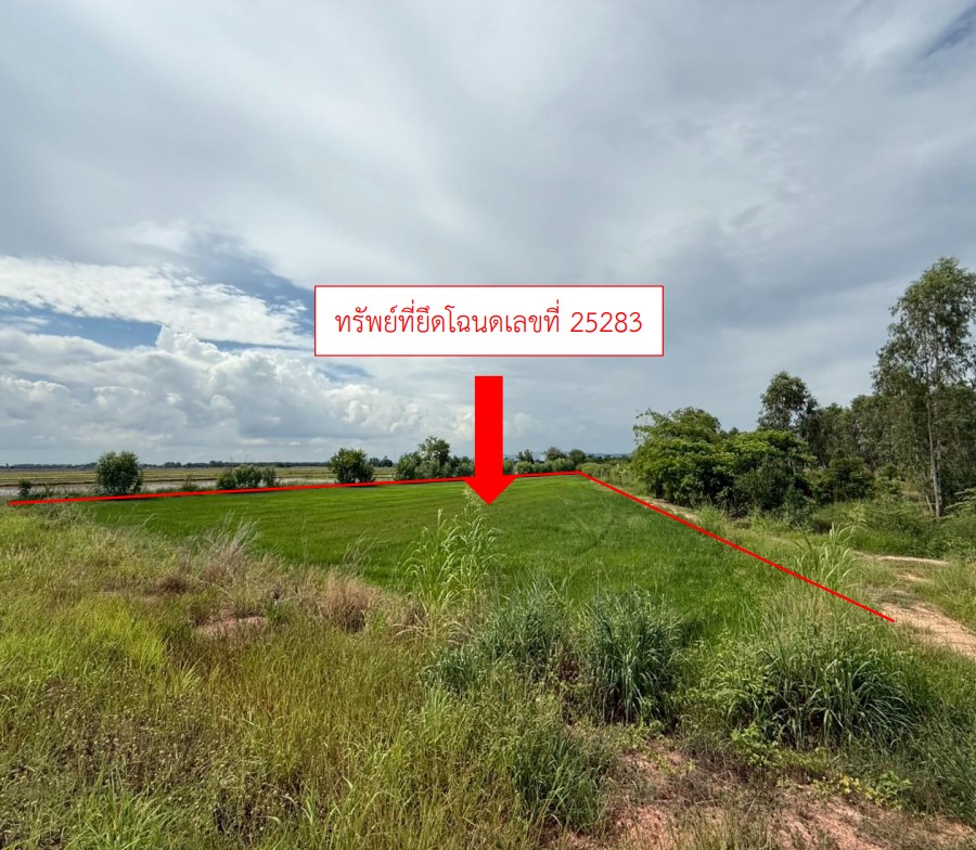 รูปที่ดินว่างเปล่า ทับยายเชียง พรหมพิราม พิษณุโลก