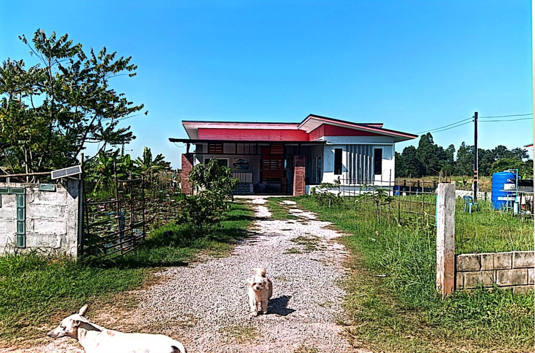 รูปที่ดินพร้อมสิ่งปลูกสร้าง หนองโก กระนวน ขอนแก่น