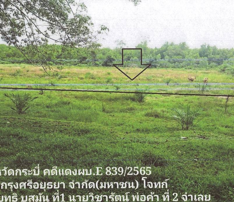 รูปที่ดินว่างเปล่า เกาะกลาง เกาะลันตา กระบี่