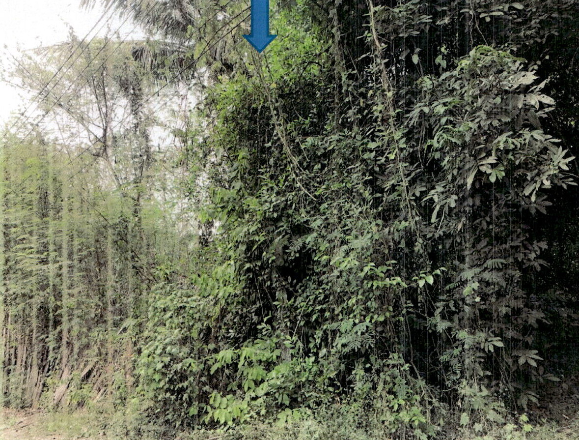 รูปที่ดินว่างเปล่า แม่เมาะ แม่เมาะ ลำปาง