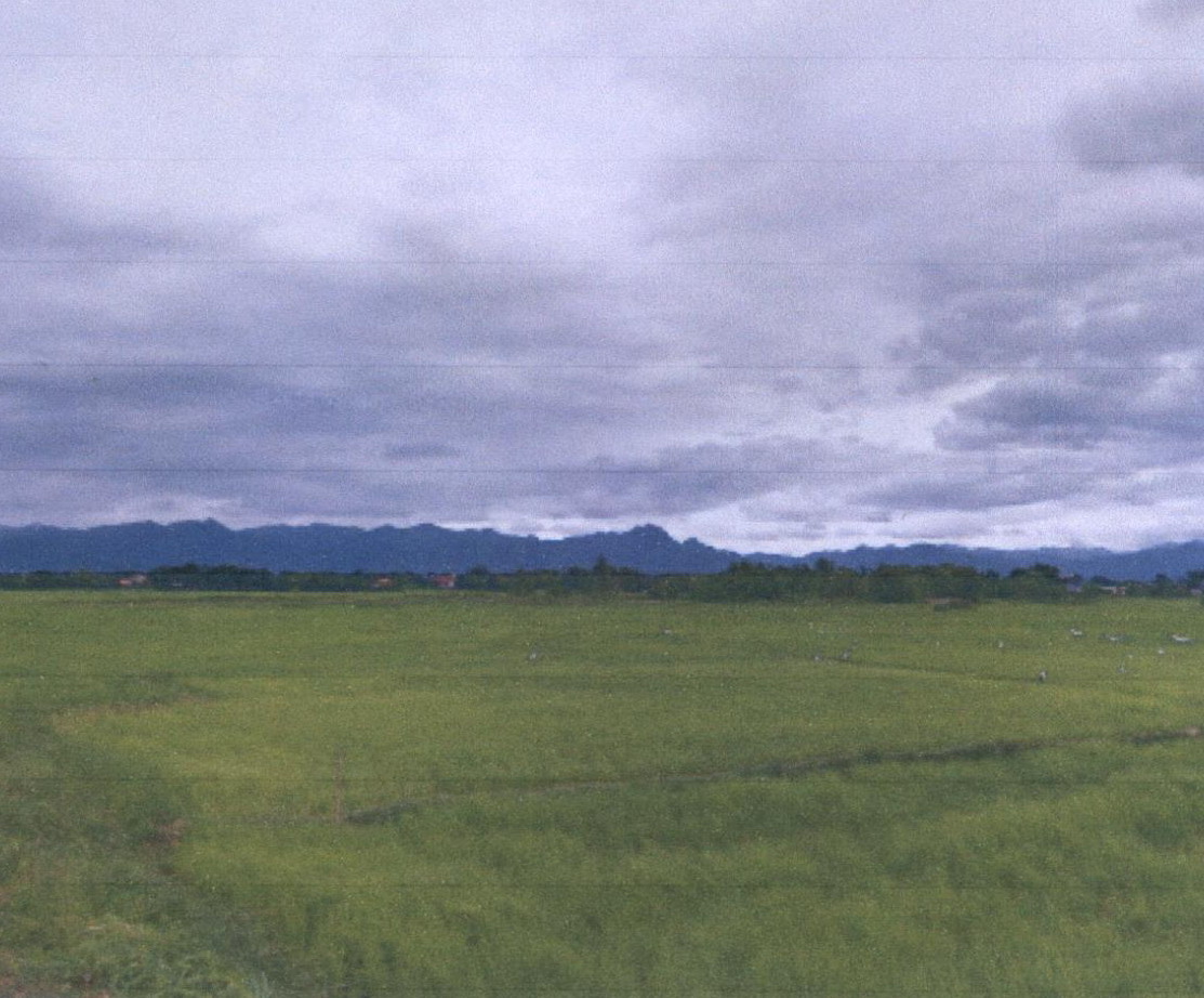รูปที่ดินว่างเปล่า ทุ่งกวาว เมืองแพร่ แพร่