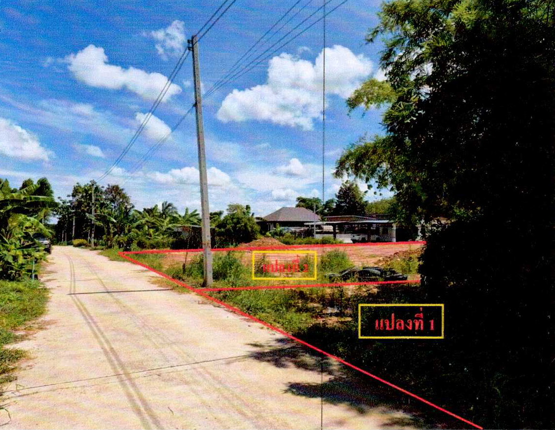 รูปที่ดินว่างเปล่า บ่อกวางทอง บ่อทอง ชลบุรี