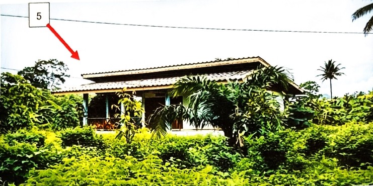 รูปที่ดินพร้อมสิ่งปลูกสร้าง ครน สวี ชุมพร