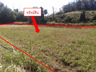 รูปที่ดินว่างเปล่า ห้วยโป่ง เมืองแม่ฮ่องสอน แม่ฮ่องสอน
