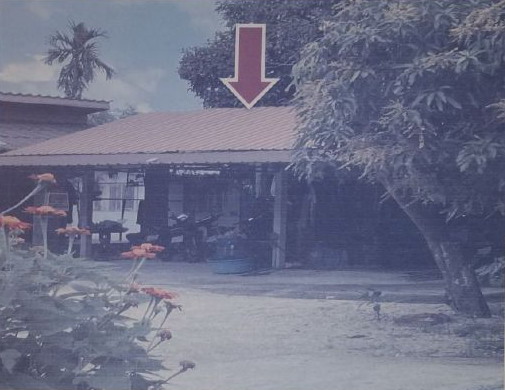รูปที่ดินพร้อมสิ่งปลูกสร้าง กำโลน ลานสกา นครศรีธรรมราช