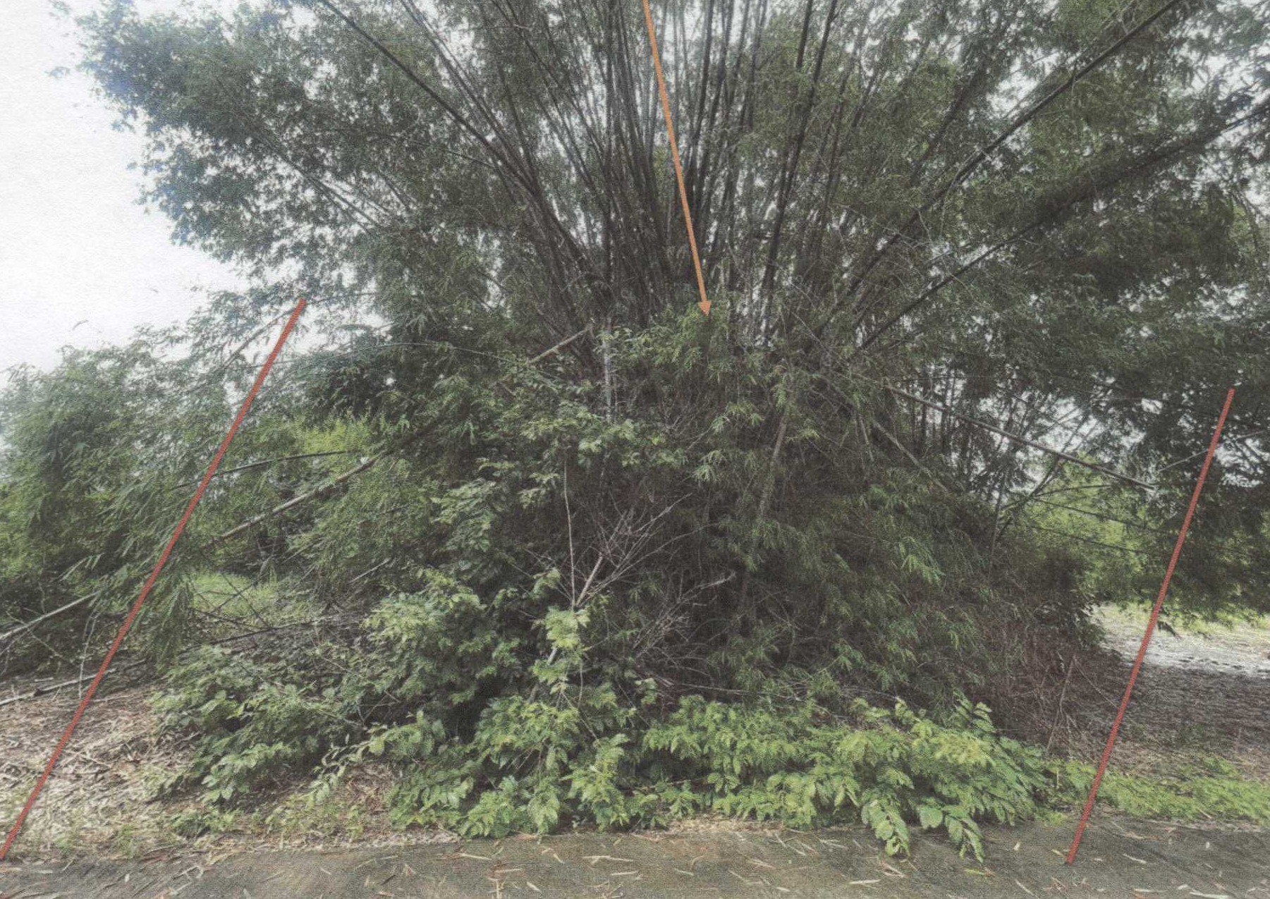 รูปที่ดินว่างเปล่า พนมเศษ ท่าตะโก นครสวรรค์