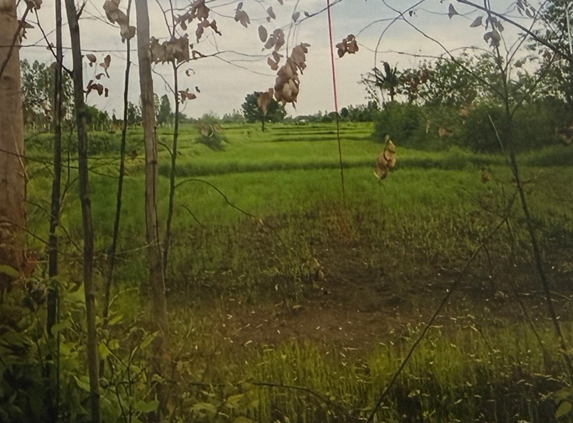 รูปที่ดินว่างเปล่า เมืองเพีย บ้านไผ่ ขอนแก่น