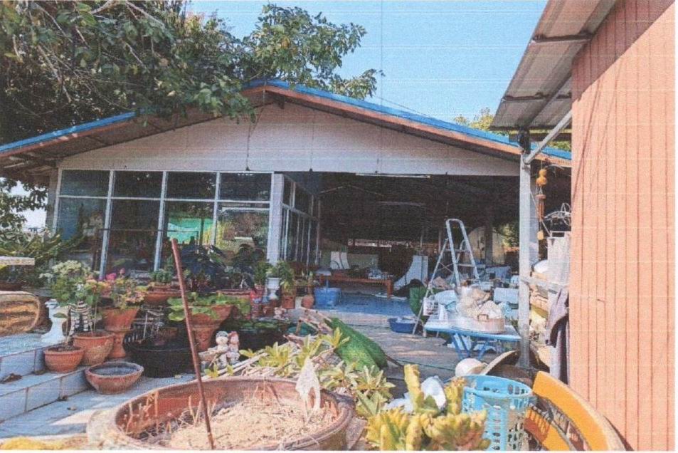 รูปที่ดินพร้อมสิ่งปลูกสร้าง ธานี เมืองสุโขทัย สุโขทัย