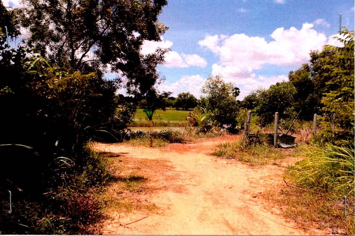 รูปที่ดินว่างเปล่า หนองมะแซว เมืองอำนาจเจริญ อำนาจเจริญ