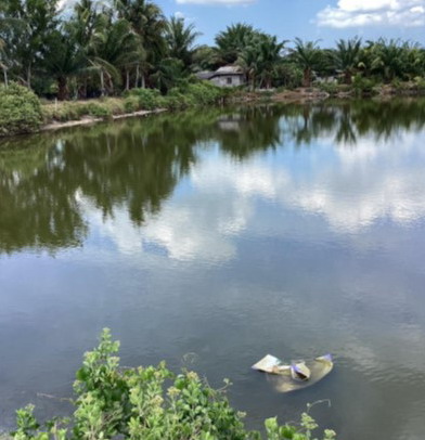 รูปที่ดินว่างเปล่า คลองขุด เมืองสตูล สตูล