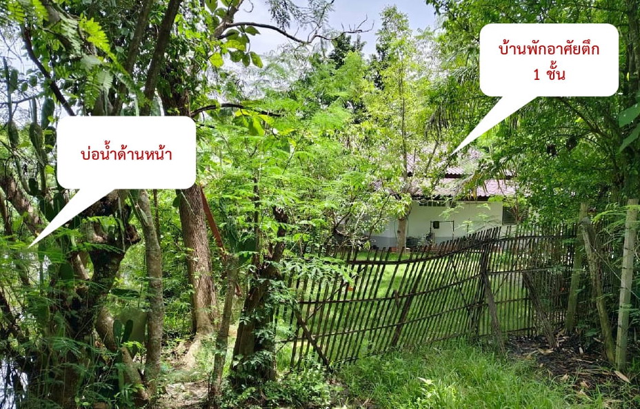 รูปที่ดินพร้อมสิ่งปลูกสร้าง สำราญราษฎร์ ดอยสะเก็ด เชียงใหม่