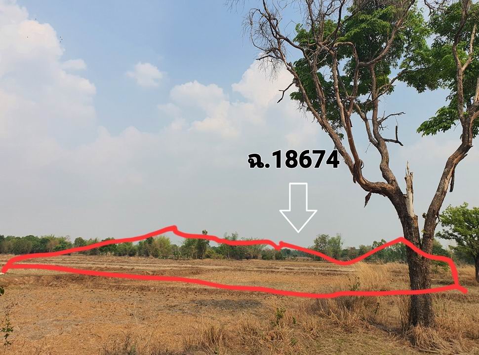รูปที่ดินว่างเปล่า หนองแวง วานรนิวาส สกลนคร
