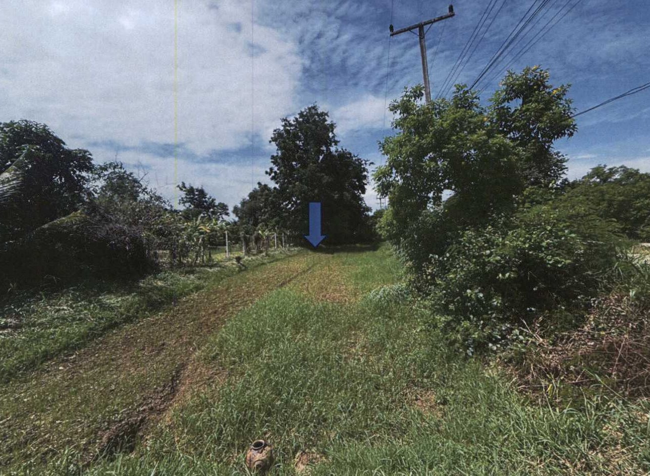 รูปที่ดินว่างเปล่า บัวลอย หนองแค สระบุรี