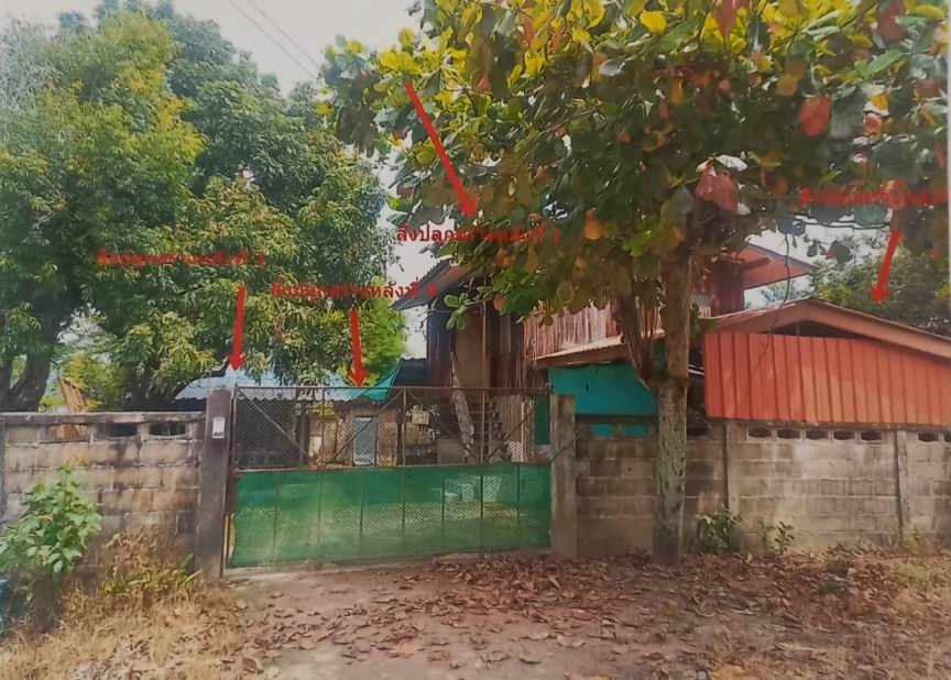 รูปที่ดินพร้อมสิ่งปลูกสร้าง โป่งงาม แม่สาย เชียงราย