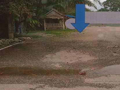 รูปที่ดินว่างเปล่า นาข้าวเสีย นาโยง ตรัง