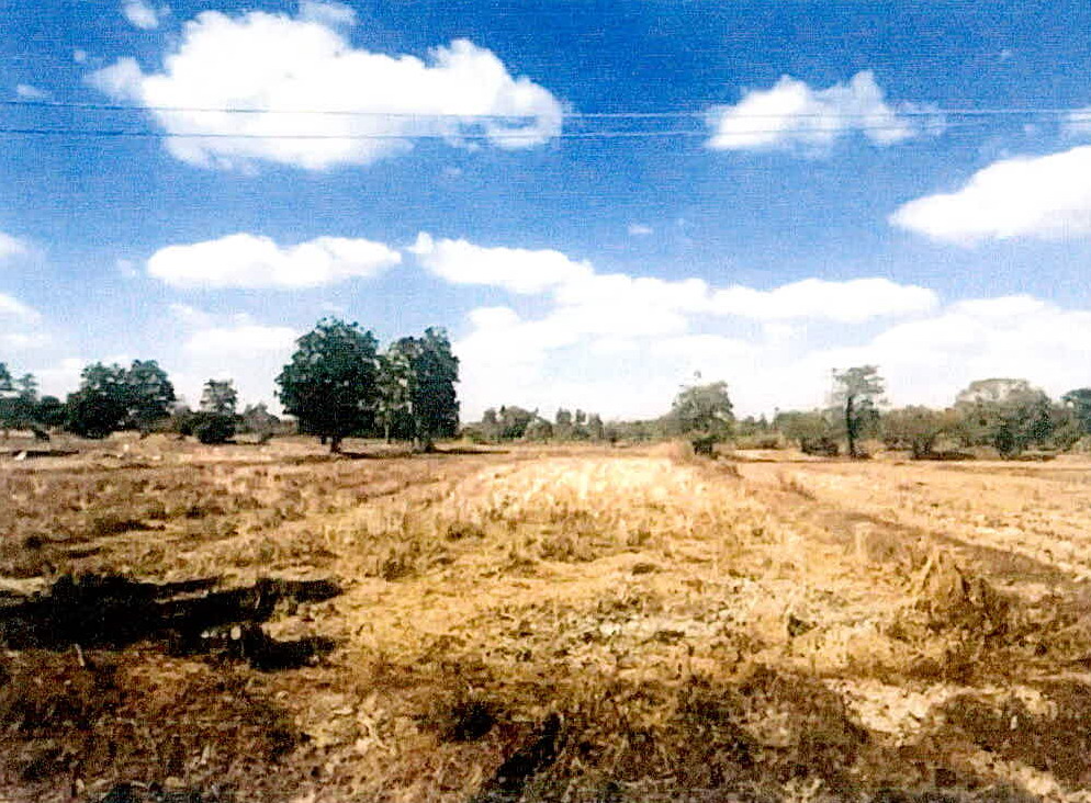 รูปที่ดินว่างเปล่า ศรีสำราญ วังหิน ศรีสะเกษ