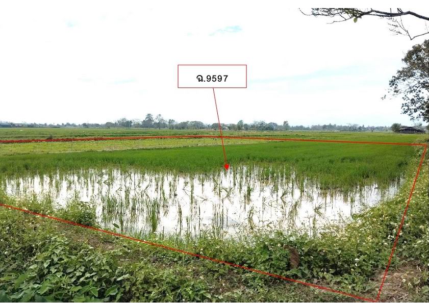 รูปที่ดินว่างเปล่า บ้านเหล่า แม่ใจ พะเยา