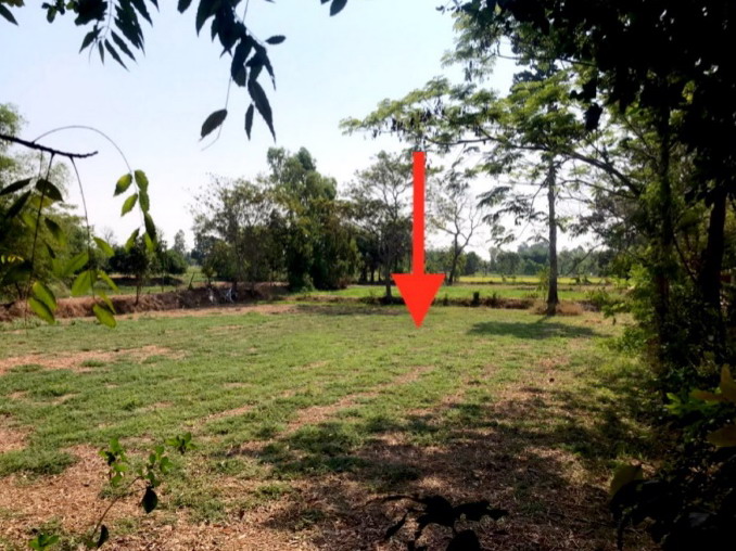 รูปที่ดินว่างเปล่า โพนข่า เมืองศรีสะเกษ ศรีสะเกษ