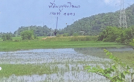 รูปที่ดินว่างเปล่า อ่างทอง เมืองราชบุรี ราชบุรี