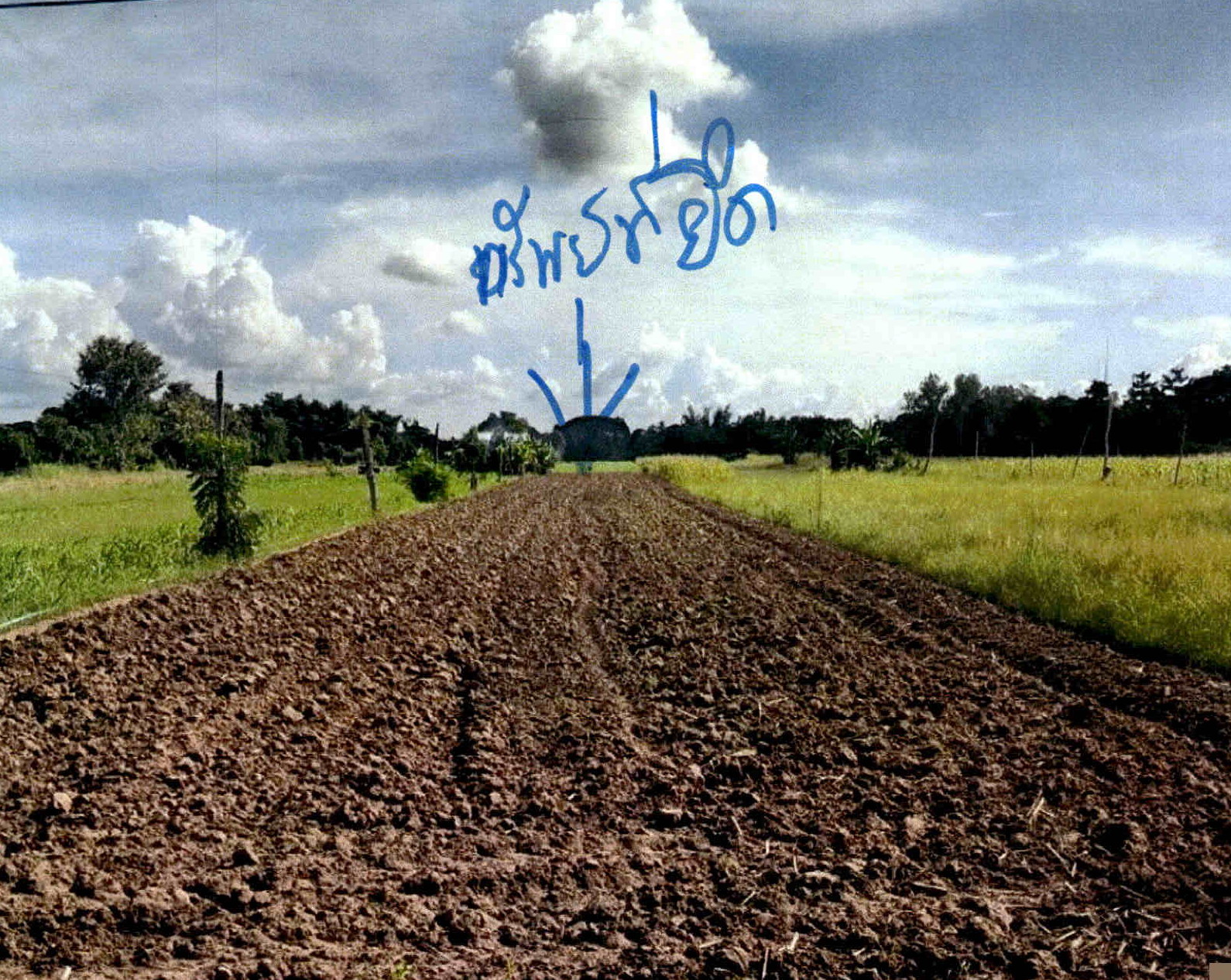 รูปที่ดินว่างเปล่า ท่าเสา เมืองอุตรดิตถ์ อุตรดิตถ์