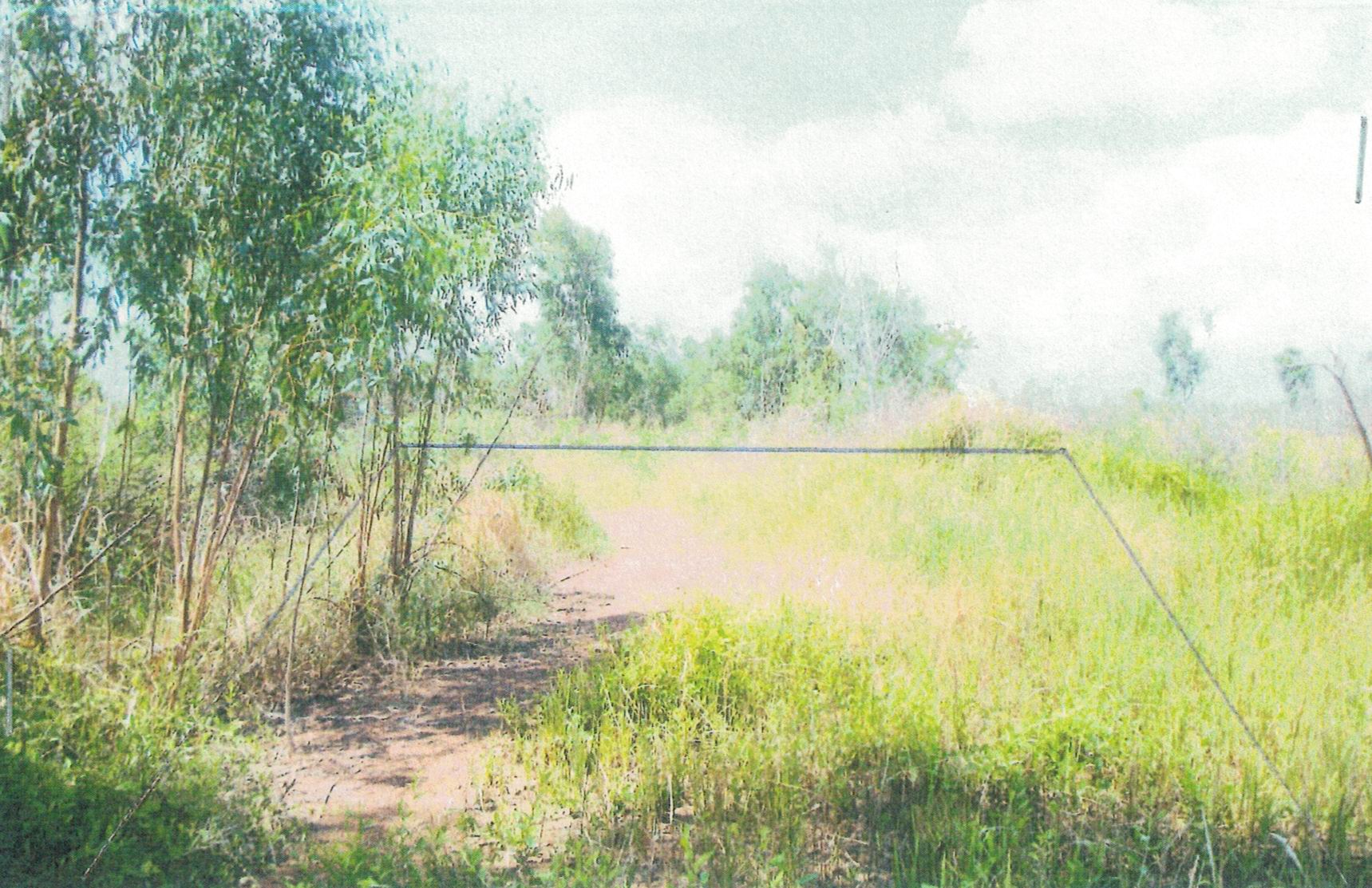 รูปที่ดินว่างเปล่า องครักษ์ องครักษ์ นครนายก