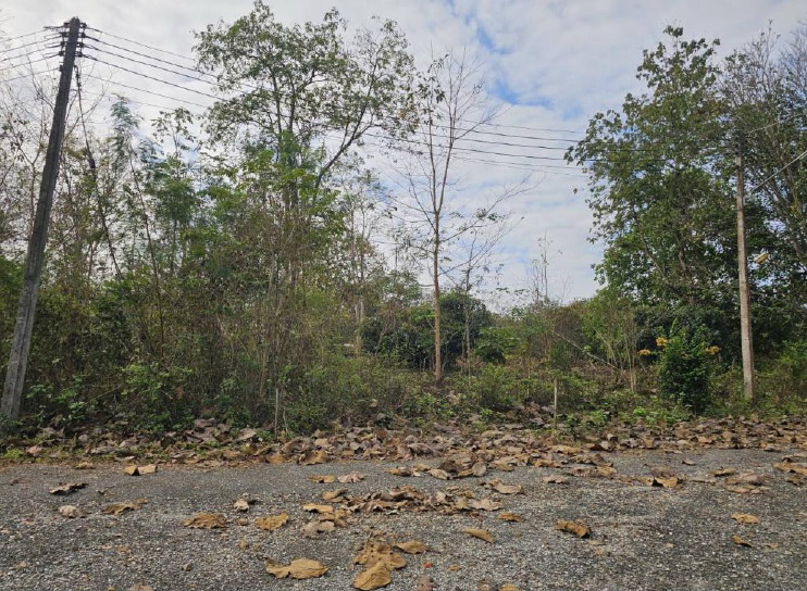 รูปที่ดินว่างเปล่า บ้านหลวง จอมทอง เชียงใหม่