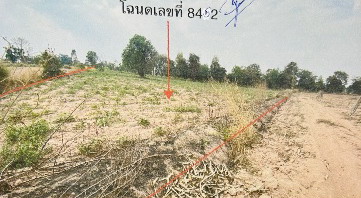 รูปที่ดินว่างเปล่า บึงอ้อ ขามทะเลสอ นครราชสีมา